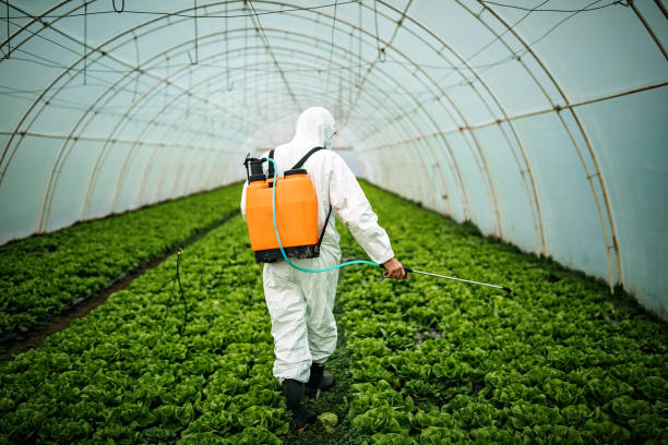 Best Residential Pest Control  in Waxhaw, NC