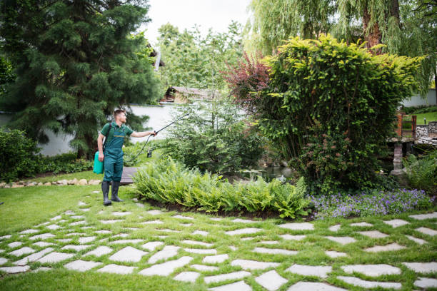 Best Ant Control Services  in Waxhaw, NC