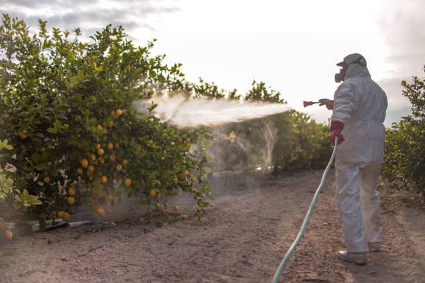 Best Best Pest Control Companies  in Waxhaw, NC
