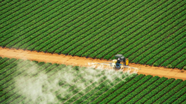 Best Ant Control Services  in Waxhaw, NC