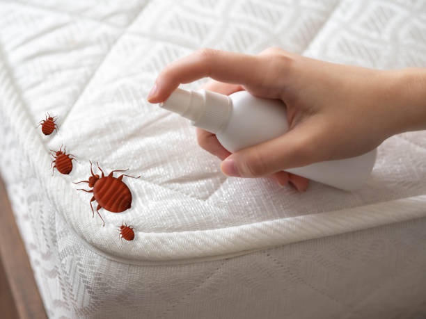 Best Mosquito Control Services  in Waxhaw, NC