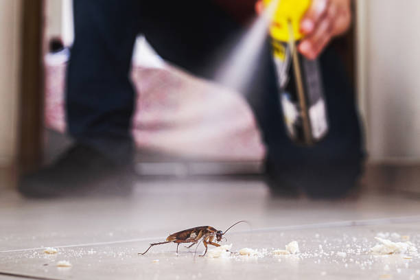 Best Flea Control Services  in Waxhaw, NC