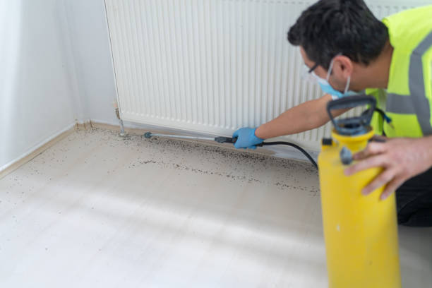 Best Flea Control Services  in Waxhaw, NC